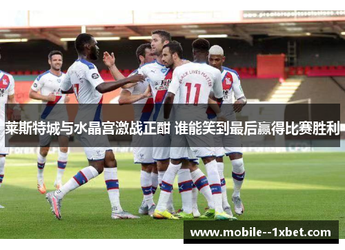 莱斯特城与水晶宫激战正酣 谁能笑到最后赢得比赛胜利 莱斯特城与水晶宫激战正酣 谁能笑到最后赢得比赛胜利