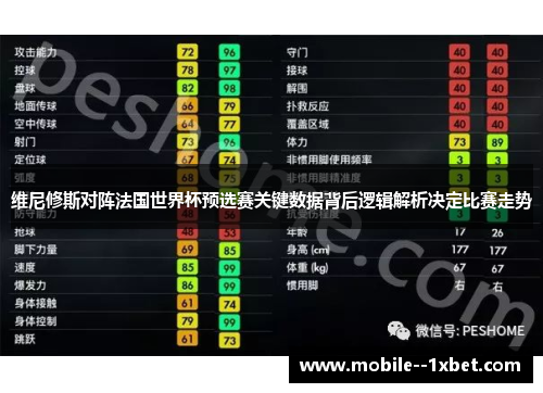 维尼修斯对阵法国世界杯预选赛关键数据背后逻辑解析决定比赛走势 维尼修斯对阵法国世界杯预选赛关键数据背后逻辑解析决定比赛走势